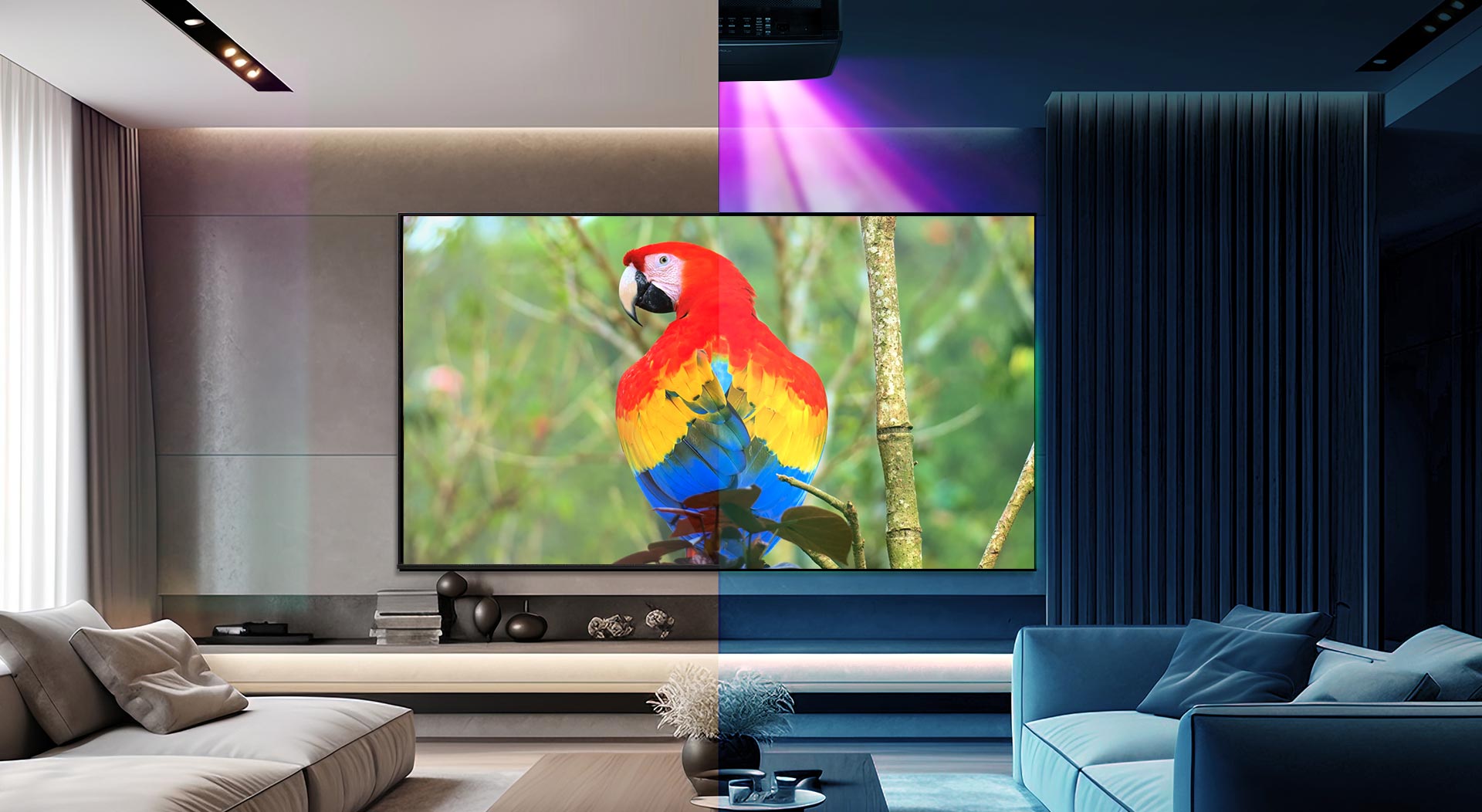 The parrot photo showed half by TV and half by projector